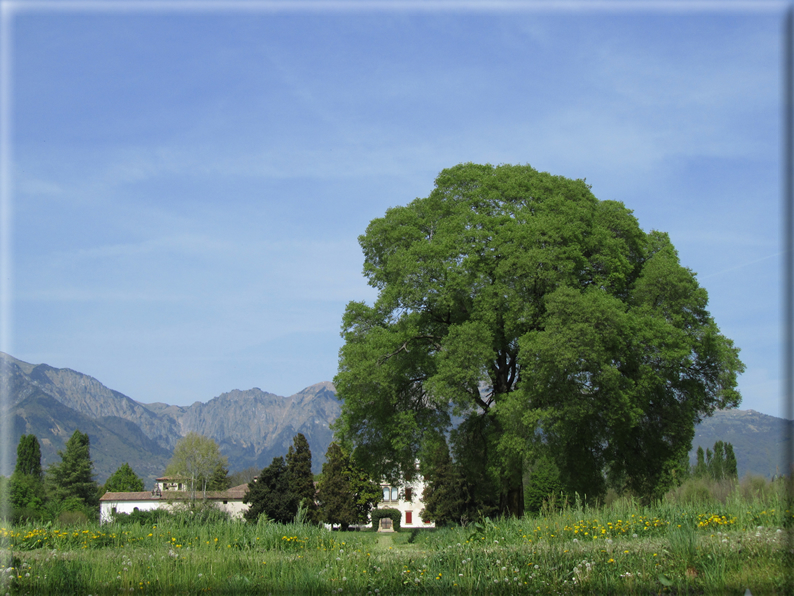 foto Paesaggi Collinari in Primavera